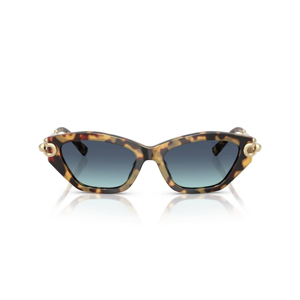 TIFFANY&CO TF4231U 53