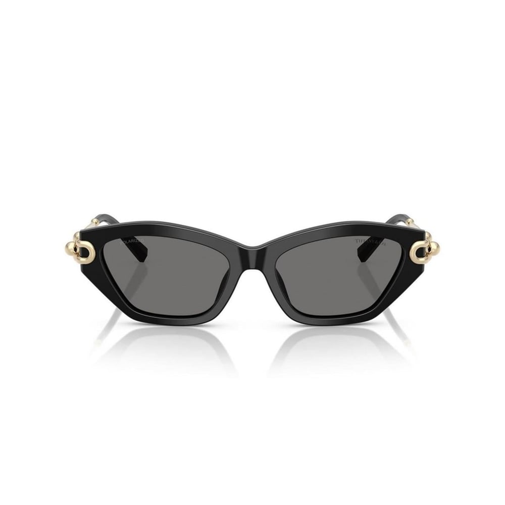 TIFFANY&CO TF4231U 53