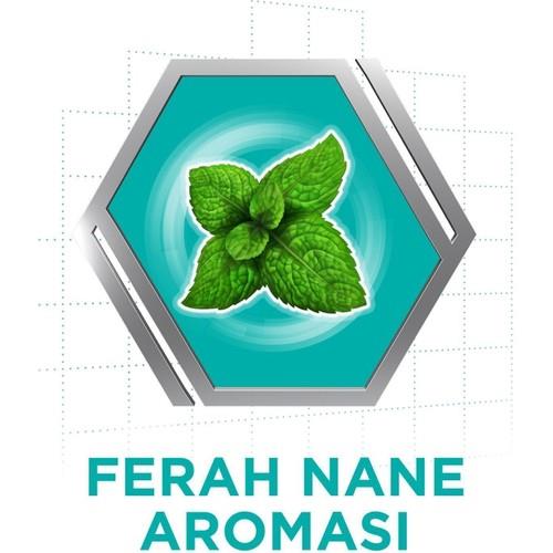 Corega Naneli Takma Diş Yapıştırıcı Krem 40 g – Ferah Nane Aromalı, Güçlü ve Uzun Süreli Tutucu Etki