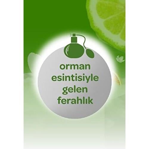 Dalin Ferahlatıcı Orman Esintisi Kolonya 150 ml Bebekler İçin Dermatolojik Olarak Test Edilmiş
