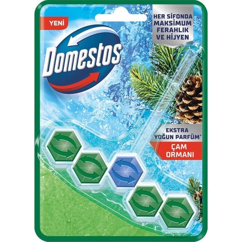 Domestos Tuvalet Bloğu Çam Ormanı 50 G
