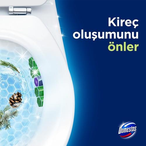 Domestos Tuvalet Bloğu Çam Ormanı 50 G