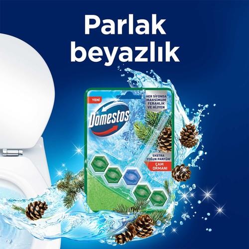 Domestos Tuvalet Bloğu Çam Ormanı 50 G