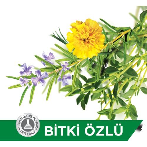 Protex Bitki Özlü Hijyenik Sıvı Sabun 300 Ml