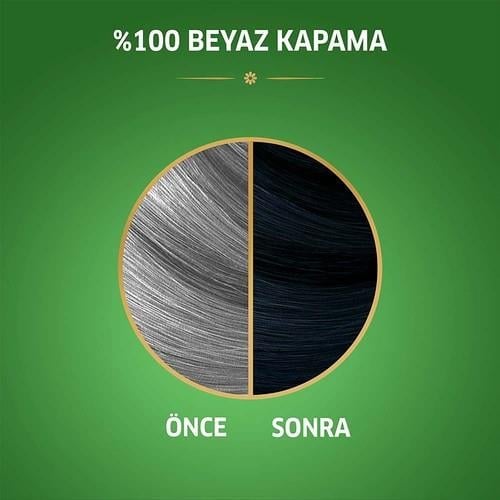 Wella Koleston Naturals 2/8 Böğürtlen Siyahı