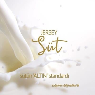 3 LİTRE JERSEY SÜT