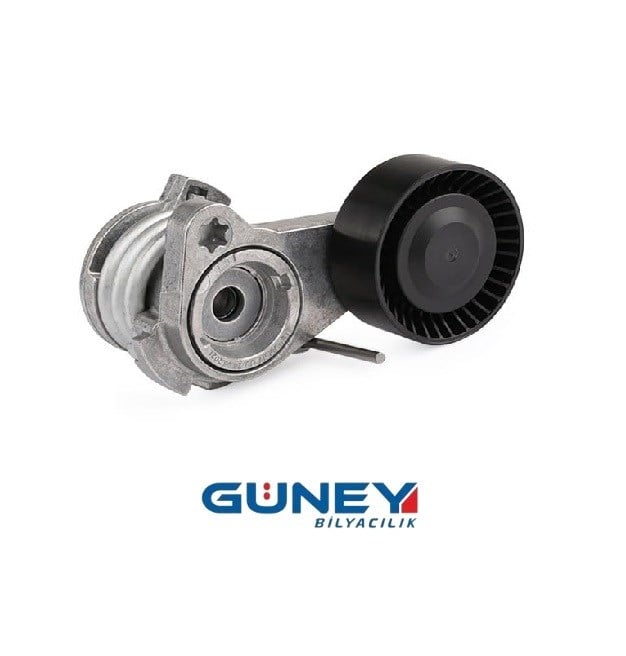 SNR GA350.57 GTS T39112 V KAYIŞ GERGİ RULMANI BMW N52