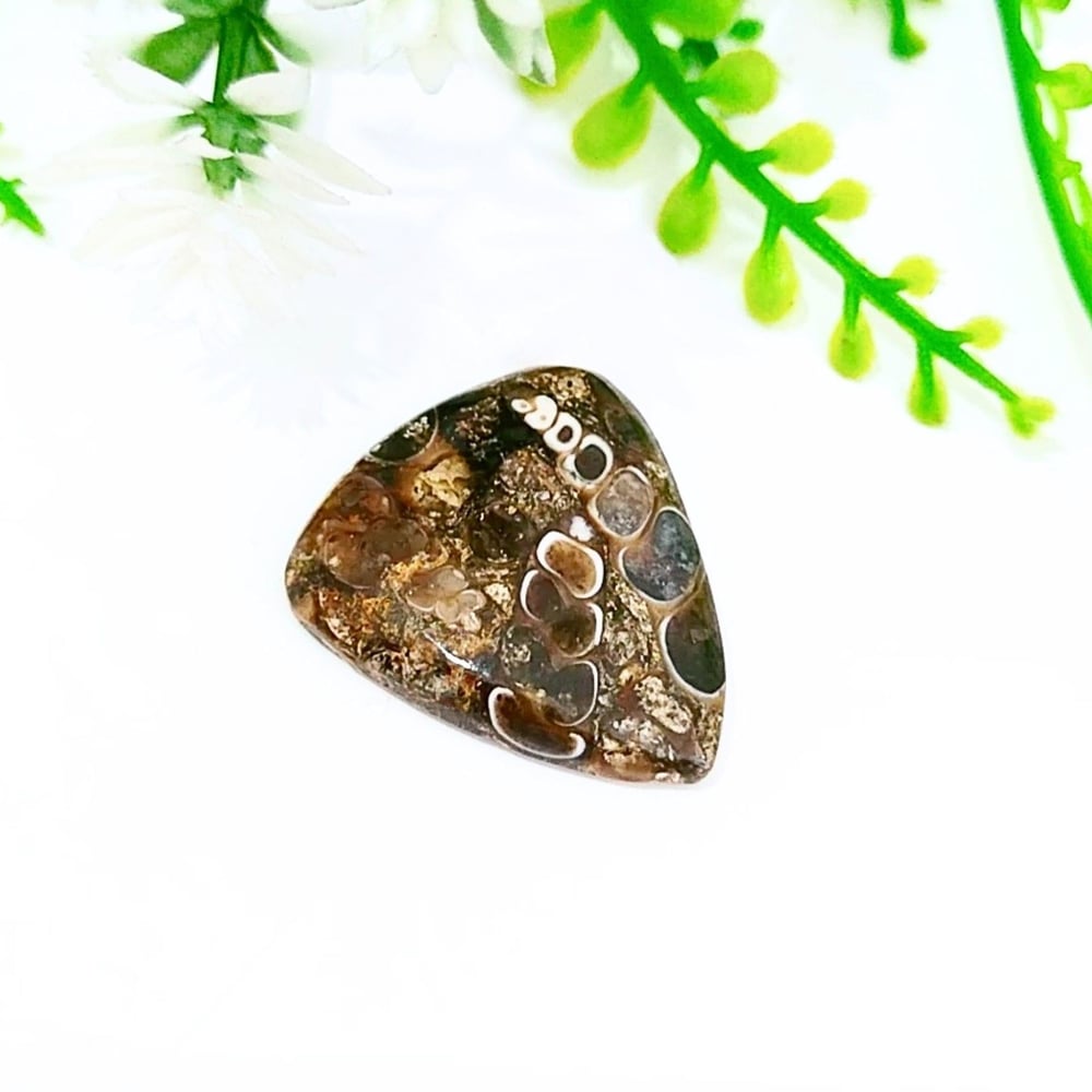 Turritella Taşı Kabaşon 0285