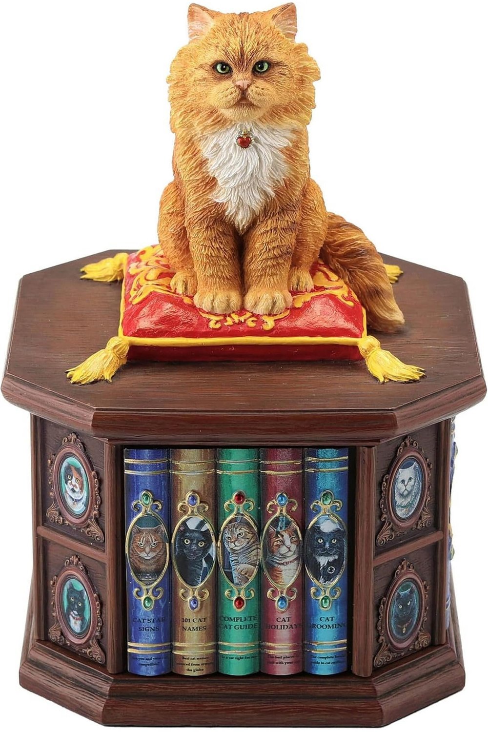WISE KÜTÜPHANECİ KEDİ