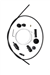 GAZ TELİ-KIT 6003.625 C2-C3 02-