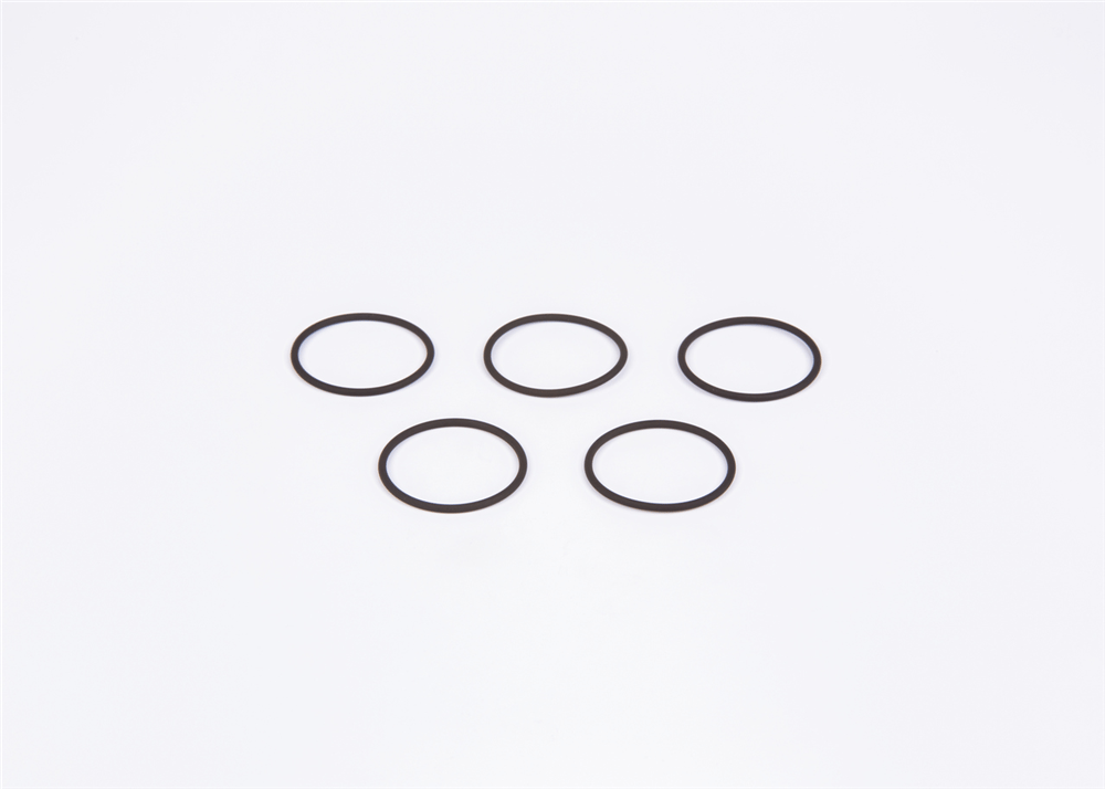 O-RING DZL 