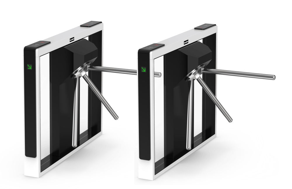 DS-Q10