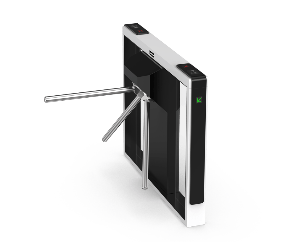 DS-Q10