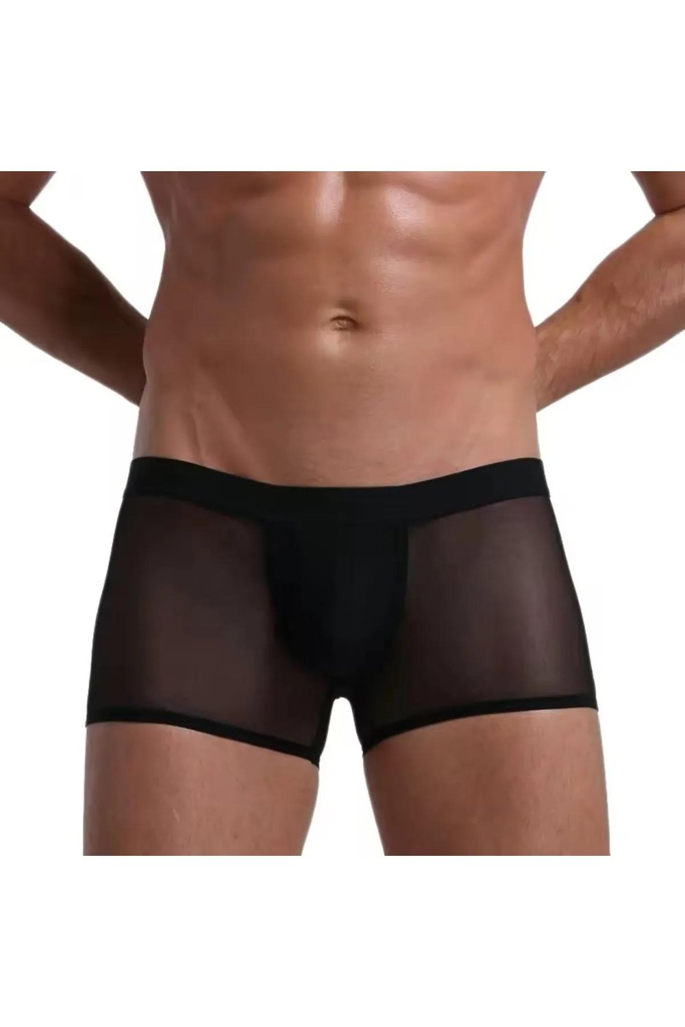 Siyah Fantezi Giyim Transparan Erkek Boxer HF4603 