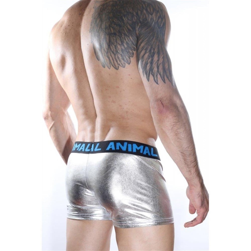 Erkek Gümüş Gri Fantezi Giyim Deri Görünümlü Ön Detaylı Boxer HF012164 