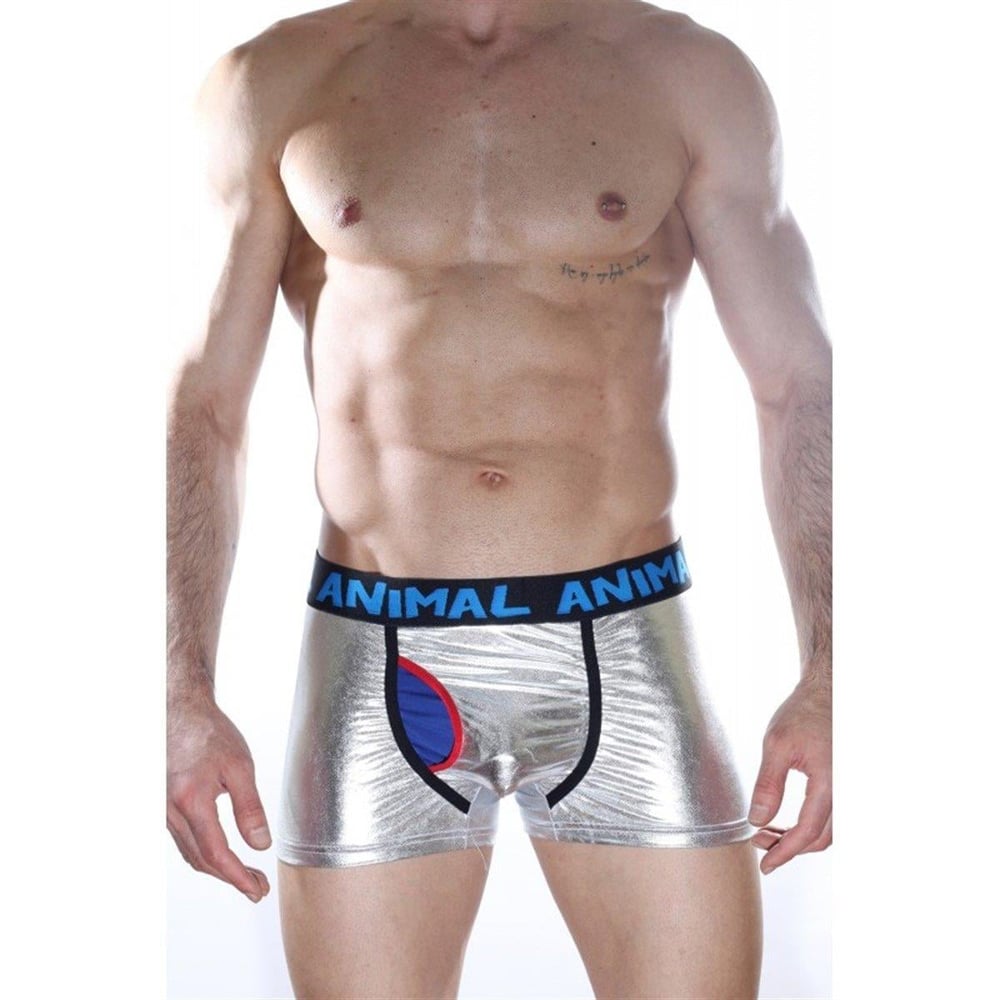 Erkek Gümüş Gri Fantezi Giyim Deri Görünümlü Ön Detaylı Boxer HF012164 