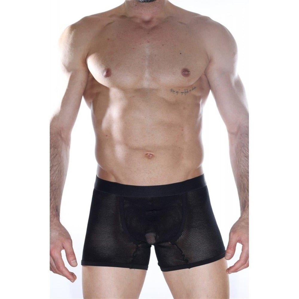 Erkek Siyah Renkli Fantezi Giyim Transparan File Boxer HF012162 
