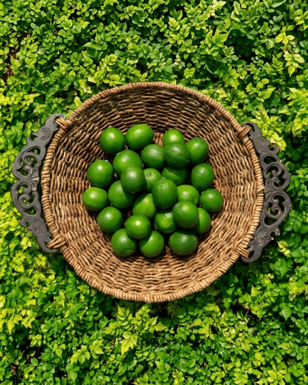 Lime