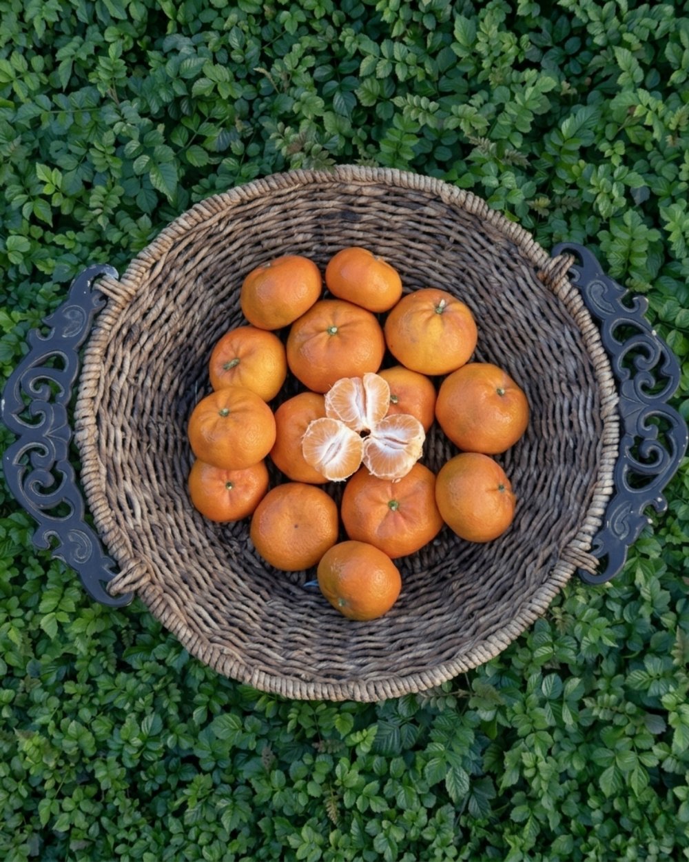 Mandalina