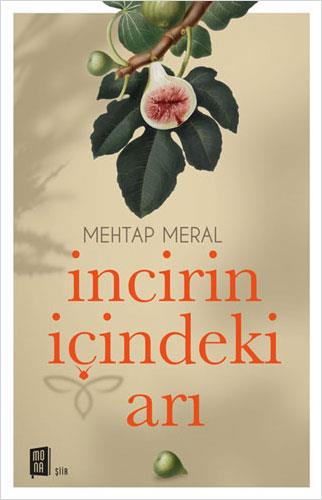 incirin-icindeki-ari-bb6-45.jpg
