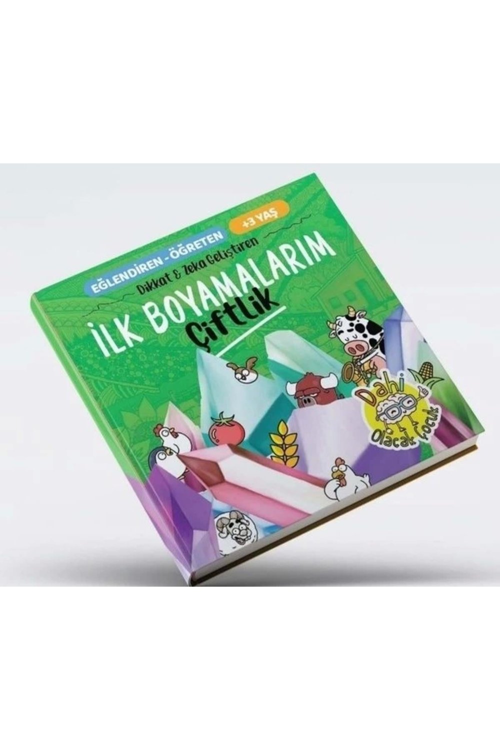 Ilk Boyamalarım Çiftlik