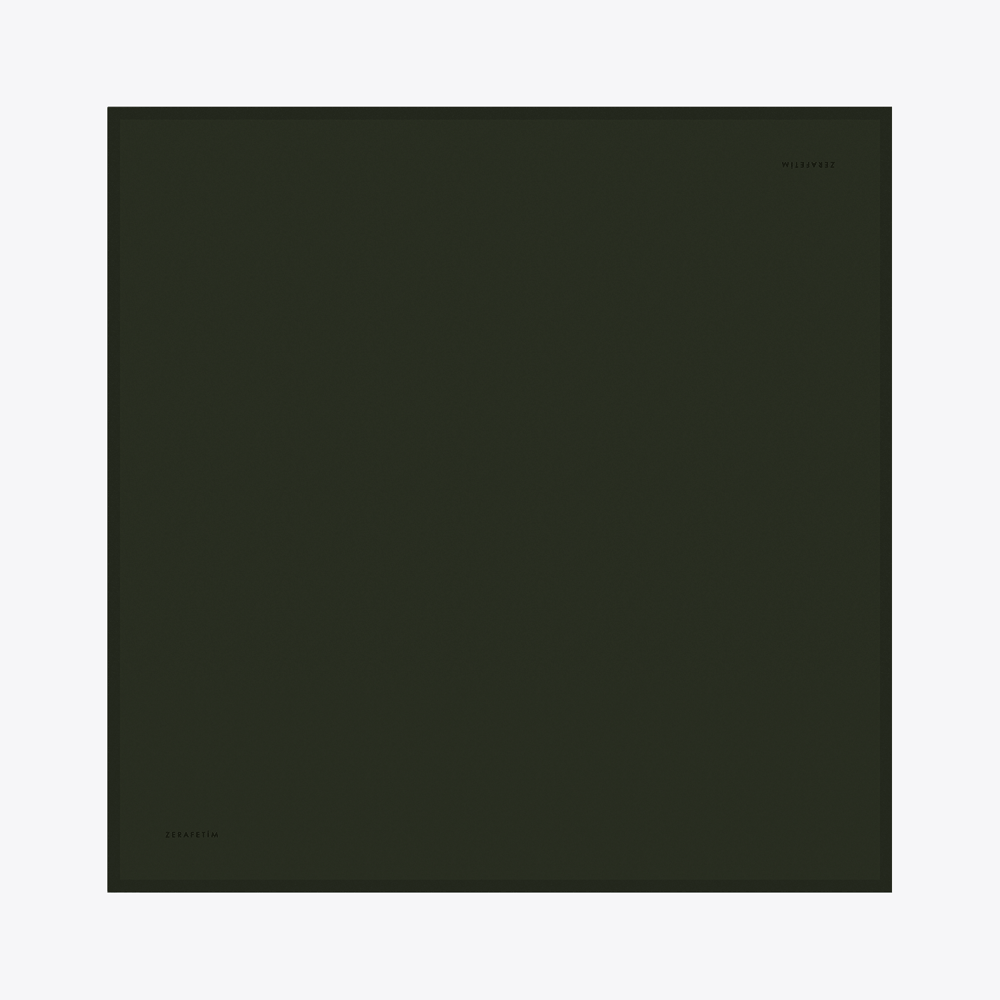 Plain Desen İpek Twill Eşarp