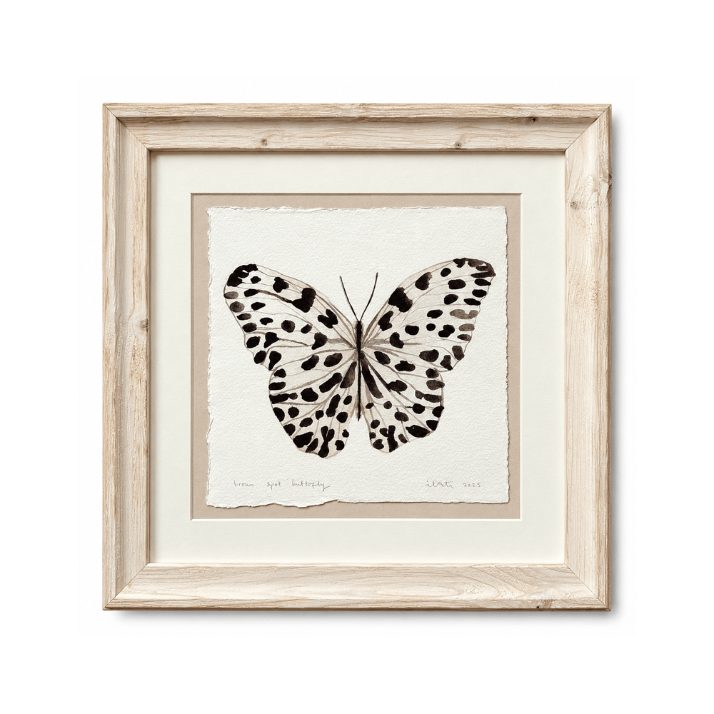 Framed Original Artwork: Spot Butterfly (Brown)