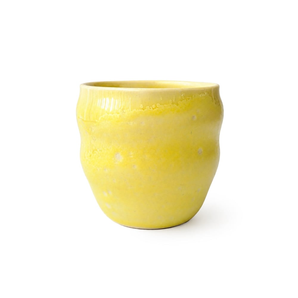 Liora Bardak (Sarı)