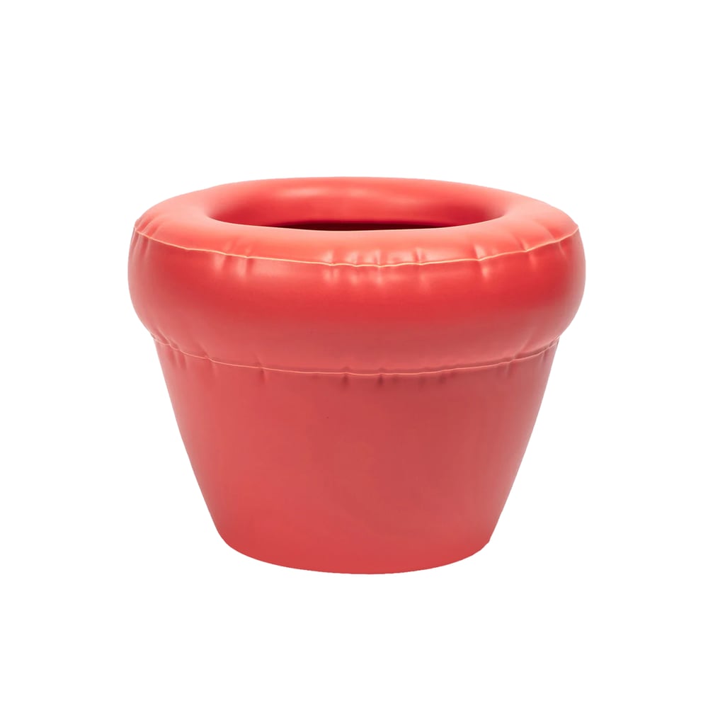 Louis Küçük Saksı (Matte Coral)