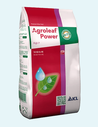 Altıntar Everris Agroleaf Power KÖK VE ÇİÇEK Gelişimi için (12-52-5+TE) 2 kgALTINTARAltıntar Everris Agroleaf Power KÖK VE ÇİÇEK Gelişimi için (12-52-5+TE) 2 kg