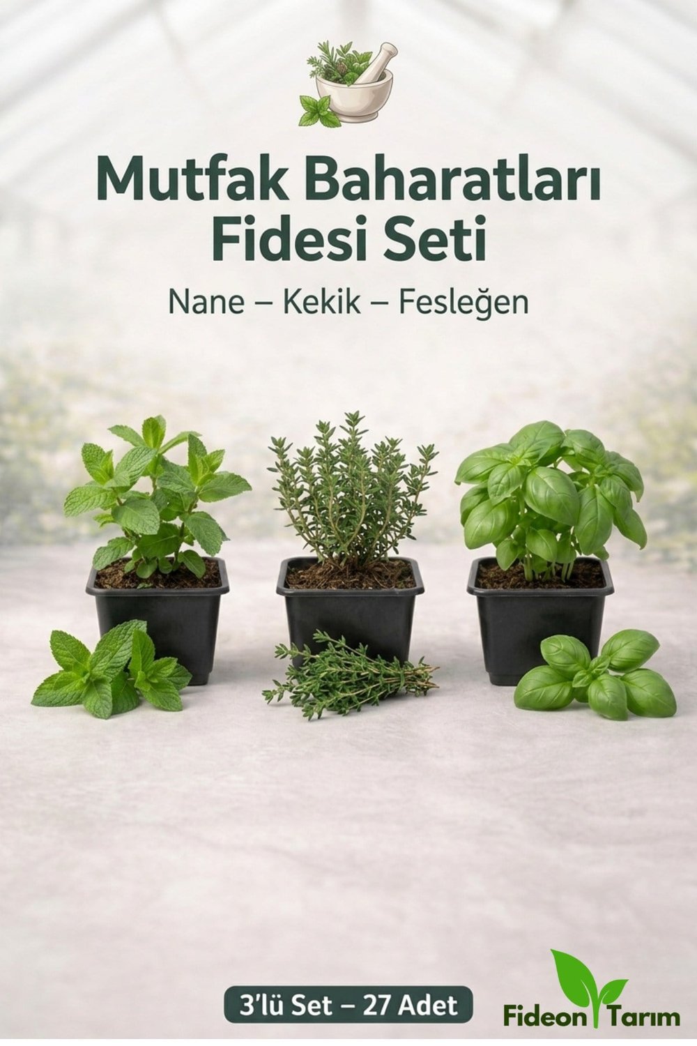 Mutfak Baharatları Fidesi Seti | Nane – Kekik – Fesleğen | 3’lü Set – 27 Adet