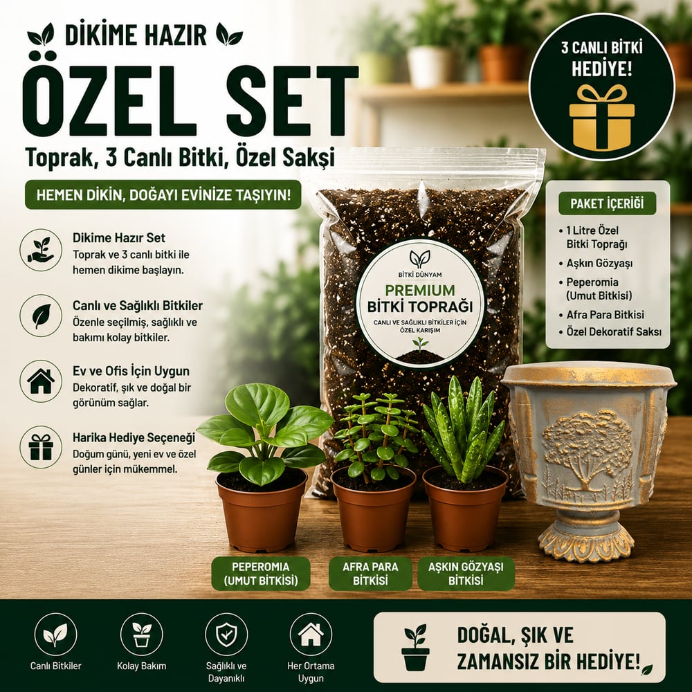 Premium Dikime Hazır Bitki Seti | Toprak, 3 Canlı Bitki ve Dekoratif Saksı 2