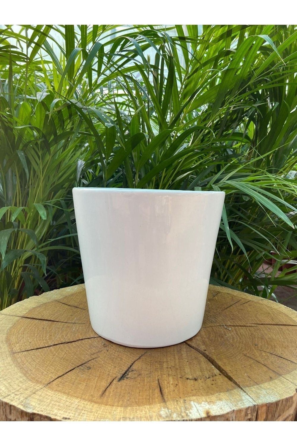 Seramik Saksı - Orkide Saksısı 12cm- Çiçek Saksısı