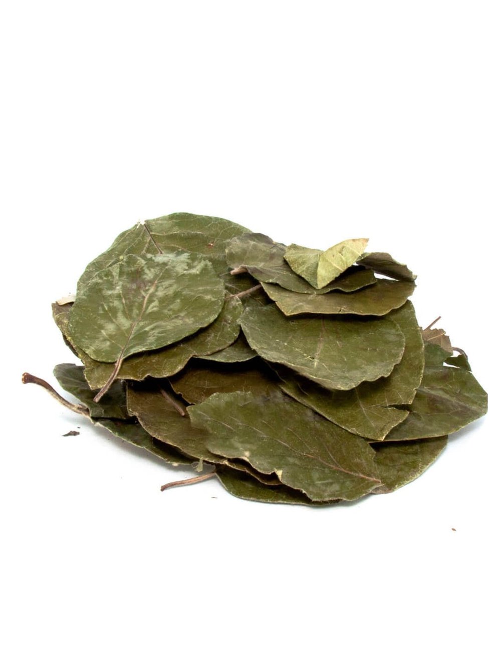 Avokado Yaprağı