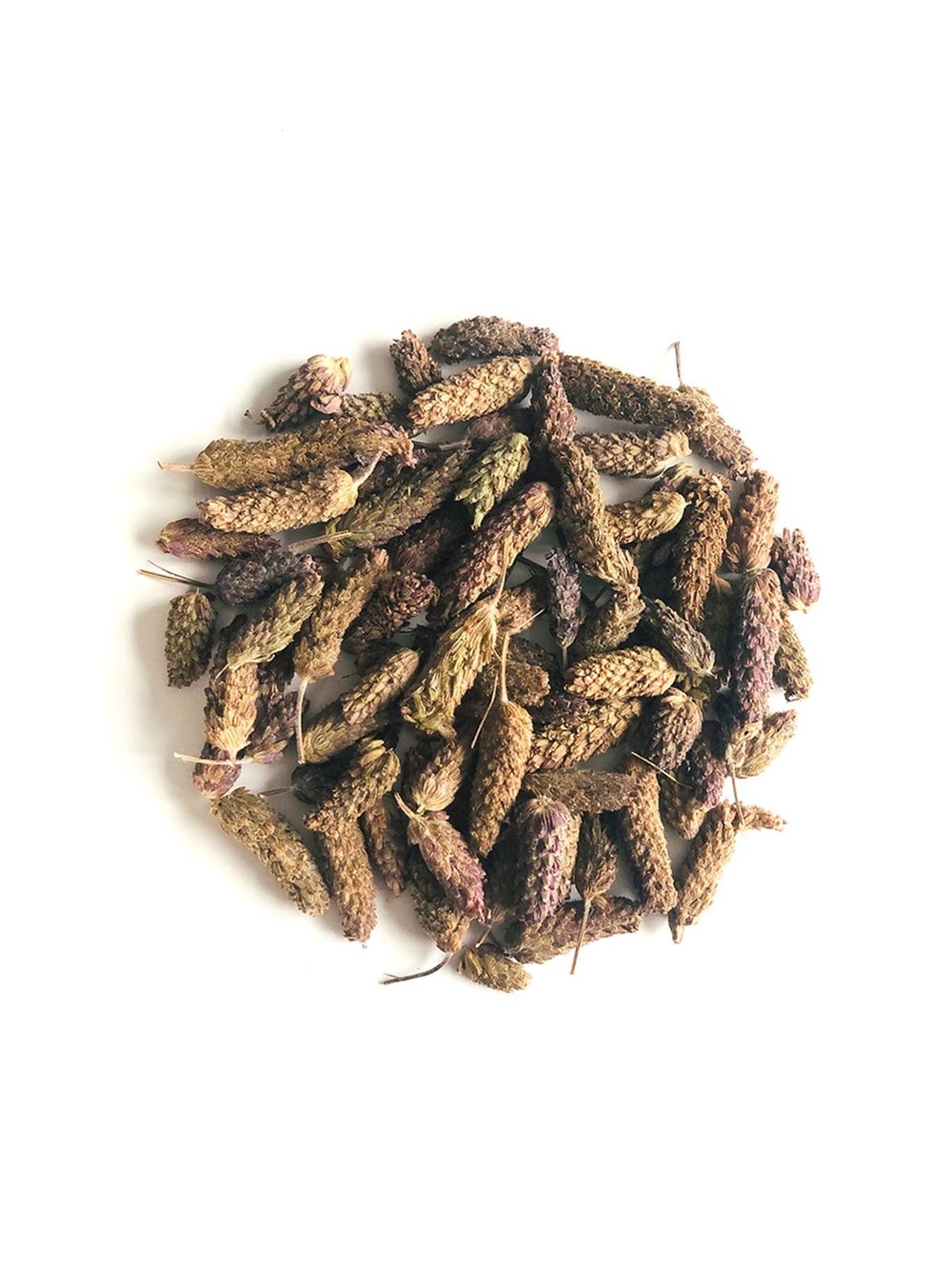 Karabaş Otu
