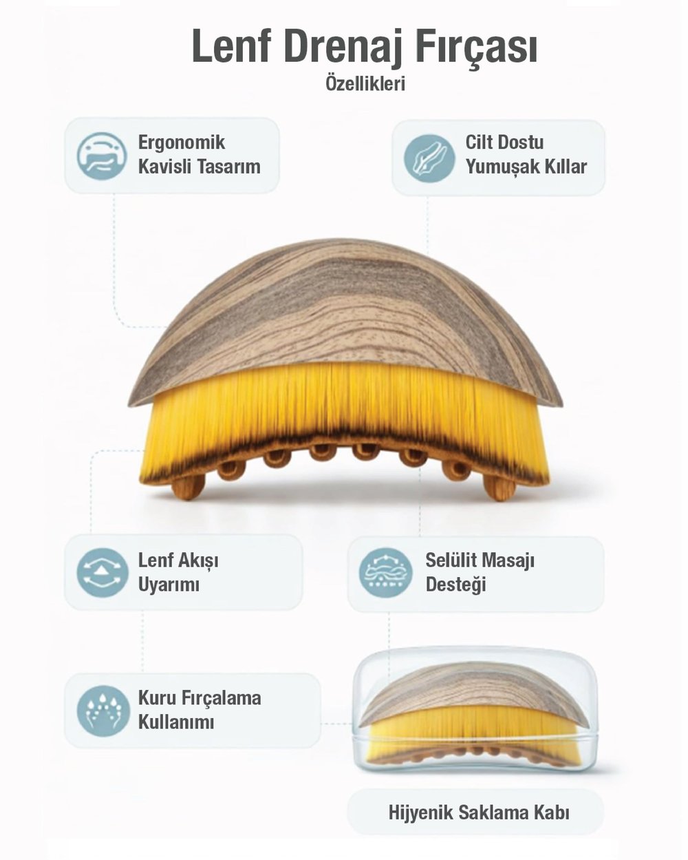 Lenf Drenaj Fırçası