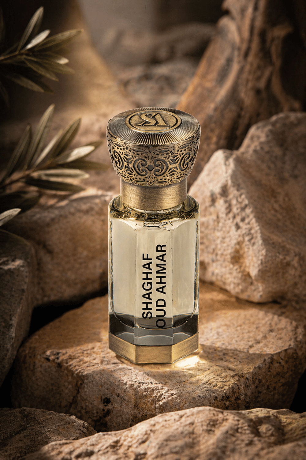 Shaghaf Oud Ahmar Concentrated Perfume Oil Kadın 12 ml