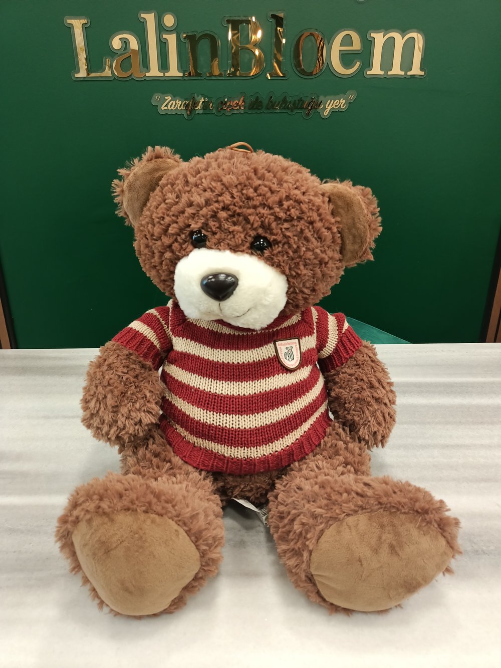Kırmızı Kazaklı Teddy