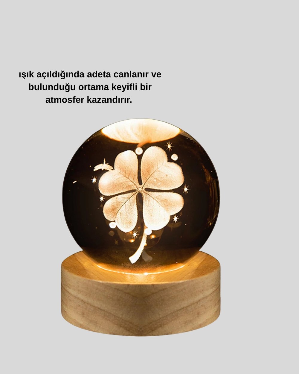 Yonca Bitki Figürlü LED Işıklı Cam Küre USB Ahşap Standlı Gece Lambası