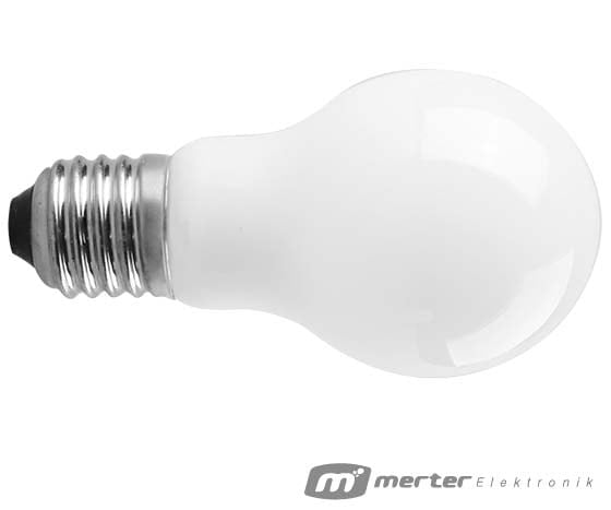 BESTTEL E27 6 WATT 2700K A60 GÜNIŞIĞI LED CAM AMPÜL