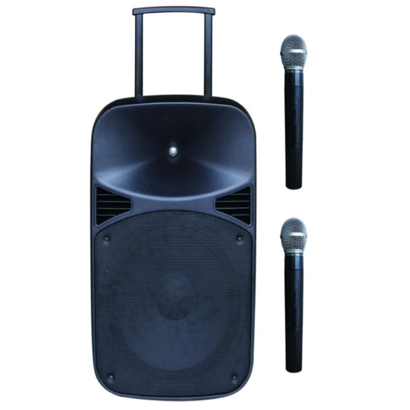 D-SOUND MAX-15PA 15