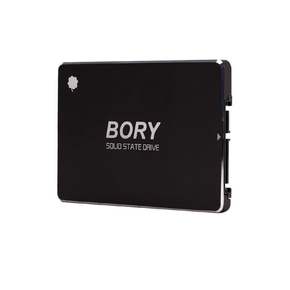 Bory Bory R500-C256G Sata3 256 Gb SSD 550/510 Mbs Harddisk - SSD Harddisk