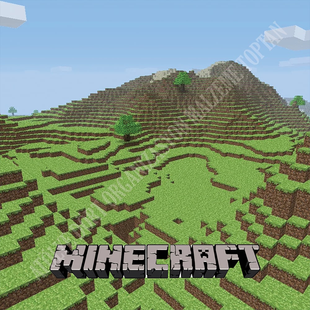 Minecraft Zemin Branda Baskısı