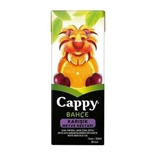 Cappy Meyve Suyu Karışık Meyve 200ml uht