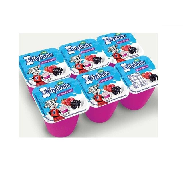 Sütaş Büyümix Orman Meyveli 6x40gr