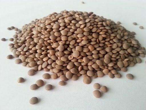 Yeşil Mercimek Kg