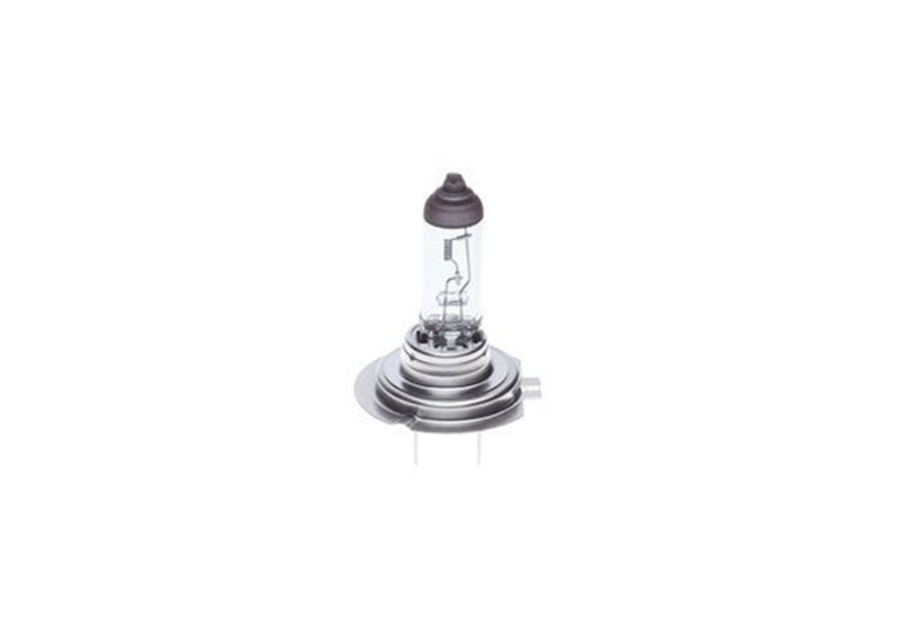 BOSCH 1987302471 - Ampul - Bmw E81-e88-e91