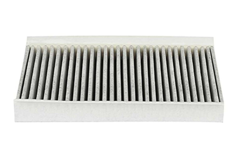 BSG 15-145-001 - Polen Filtresi - Bmw Land Rover Discovery 3/range Rover Sport