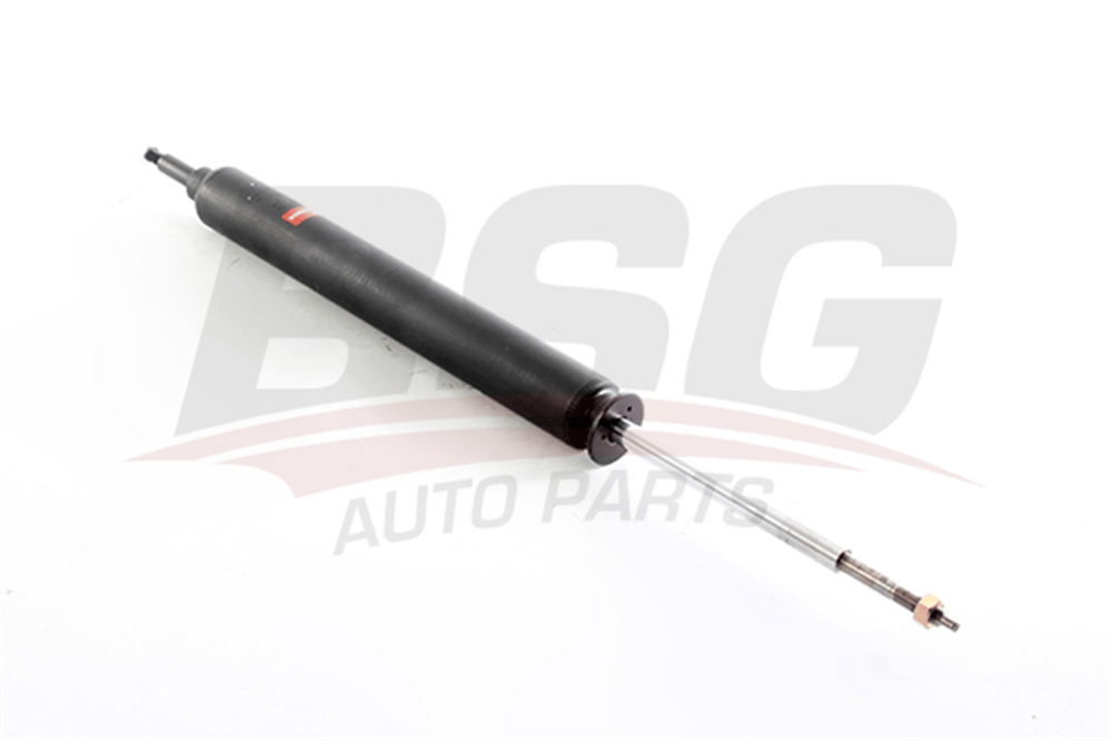 BSG 15-300-066 - Amortisör Arka - Bmw X1 E84