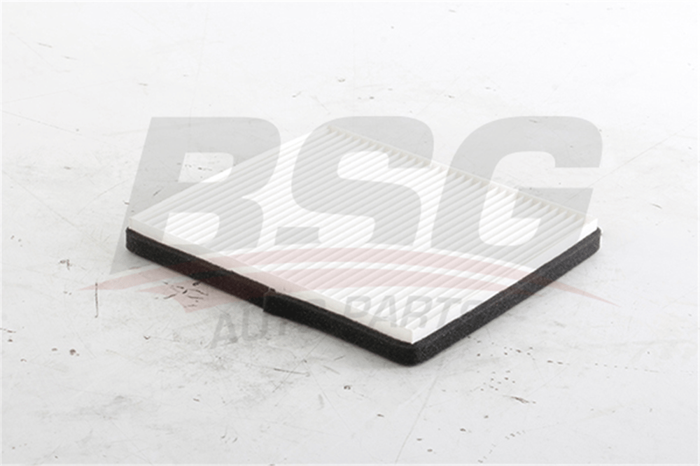BSG 16-145-005 - Polen Filtresi - Opel Spark M300